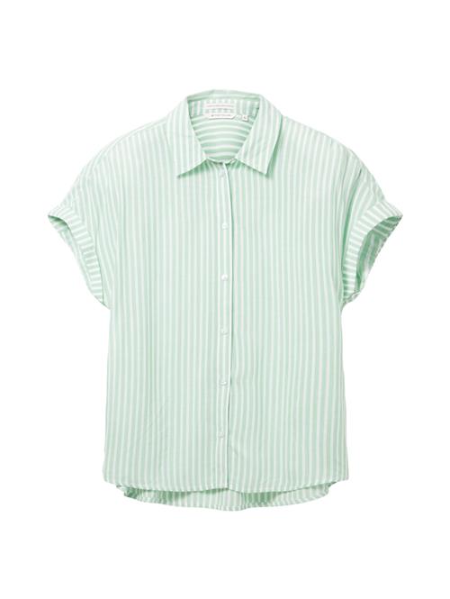 TOM TAILOR Bluse  mint / hvid