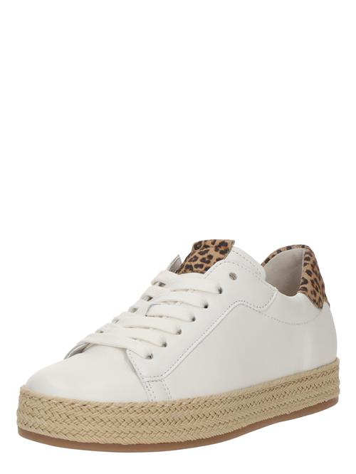 GABOR Sneaker low  brun / sort / offwhite