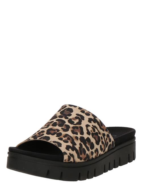 GABOR Pantoletter  beige / brun / sort
