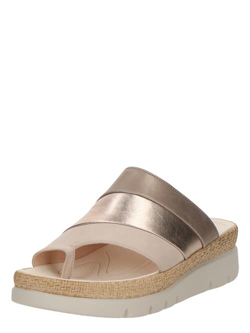 GABOR Klipklappere  beige / mokka / bronze