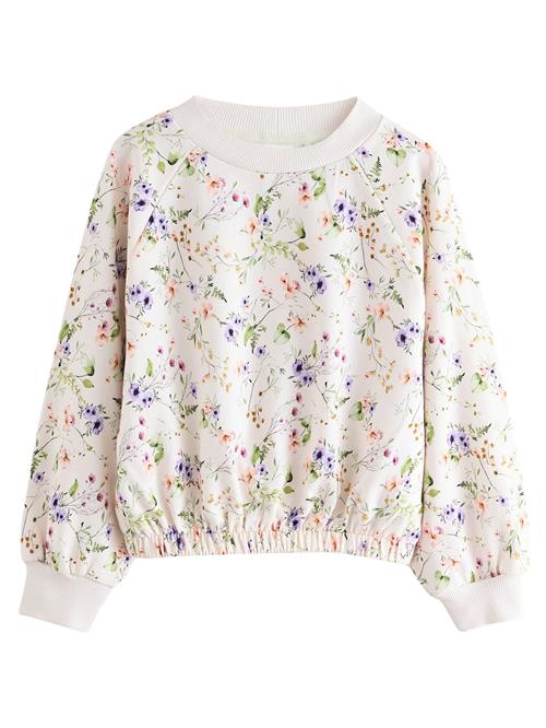 Next Sweatshirt  ecru / blandingsfarvet