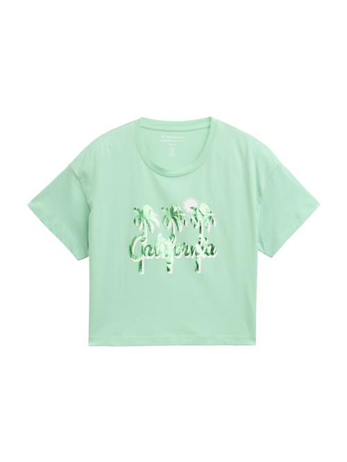 TOM TAILOR Bluser & t-shirts  mint / gran / hvid