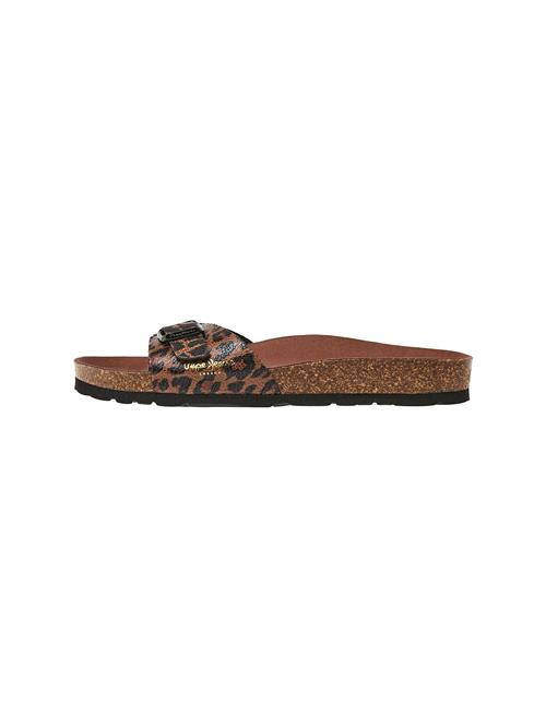 Pepe Jeans Pantoletter 'Oban'  brun / sort