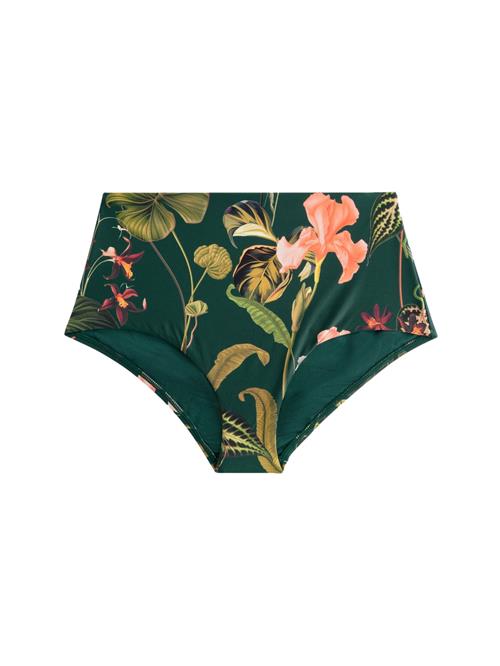 Next Bikinitrusse  kiwi / gran / orange / sort