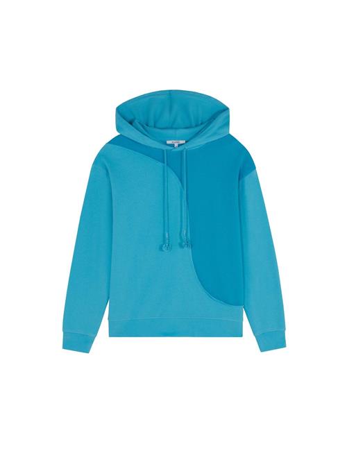 Scalpers Sweatshirt ' '  blå / turkis