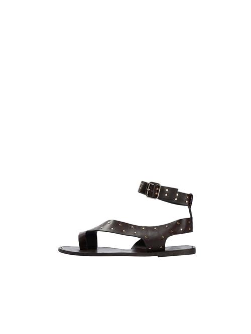 Scalpers Sandaler ' '  brun / mørkebrun