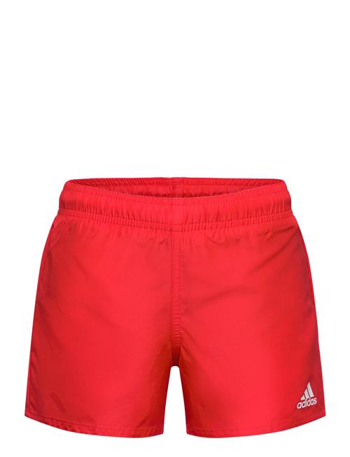 Yb Bos Shorts Adidas Performance Red
