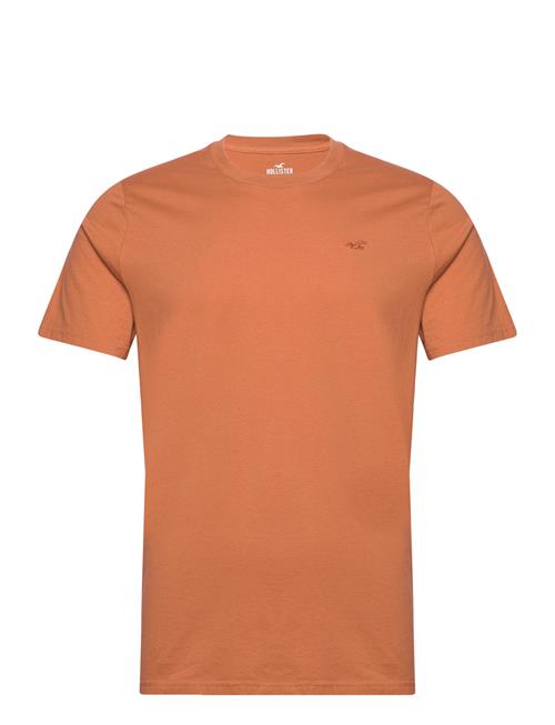 Hco. Guys Knits Hollister Orange