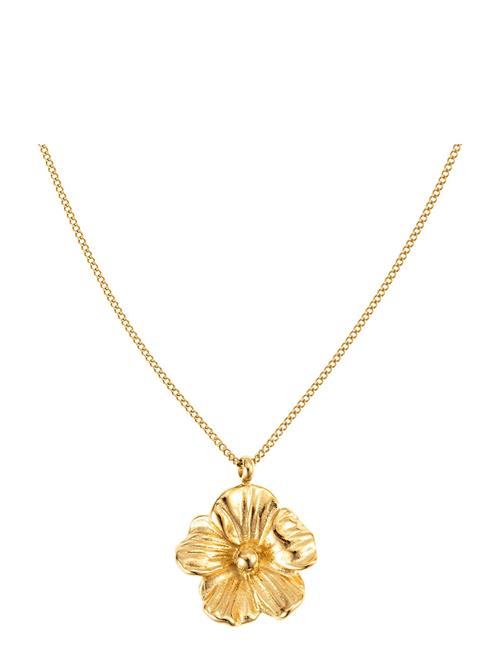 Daisy Necklace By Jolima Gold