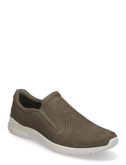 Irving ECCO Brown