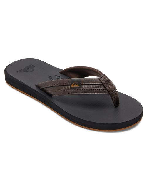 Carver Squish Quiksilver Brown