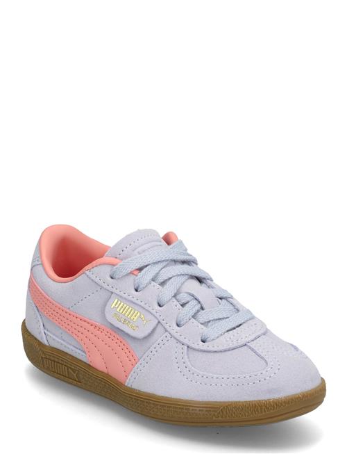 Palermo Ps PUMA Blue