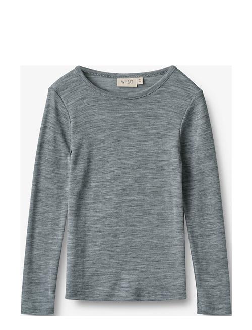 Wool T-Shirt L/S Alfie Wheat Grey