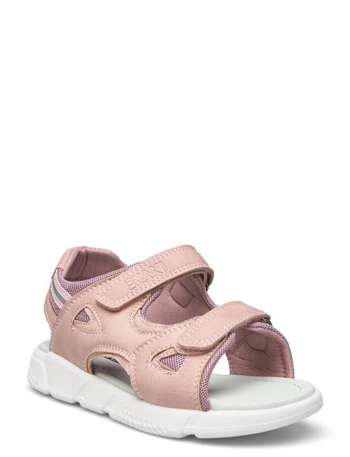 Andy Jr Exani Pink
