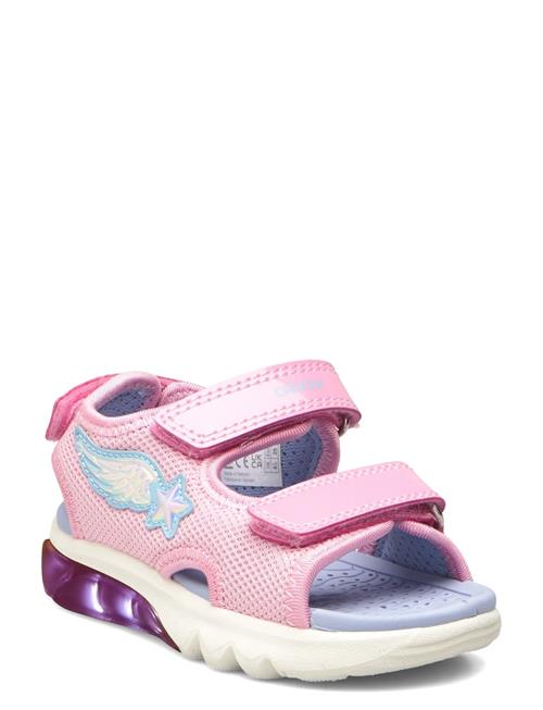 J Sandal Ciberdron G GEOX Pink