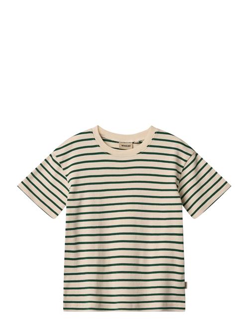 T-Shirt S/S Fabian Wheat Green