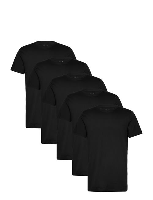 Claudio 5-Pack T-Shirt Cotton Claudio Black