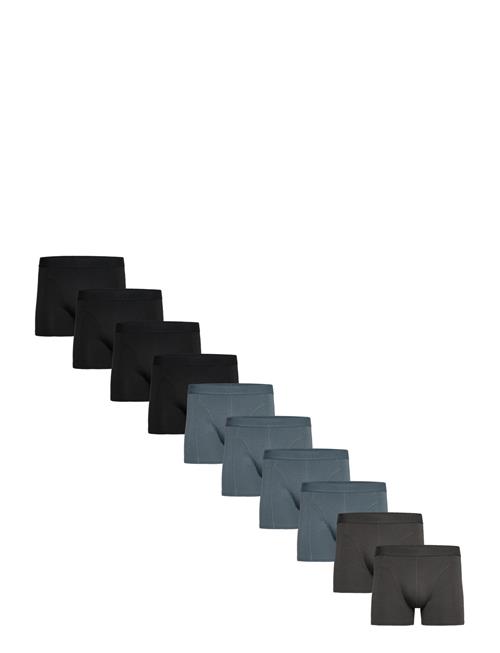 Claudio 10-Pack Tights Claudio Blue