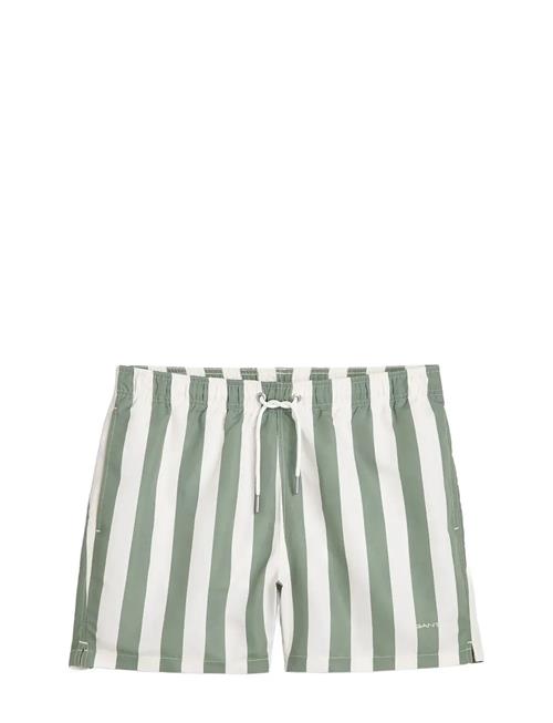 Block Stripe Swim Shorts GANT Green