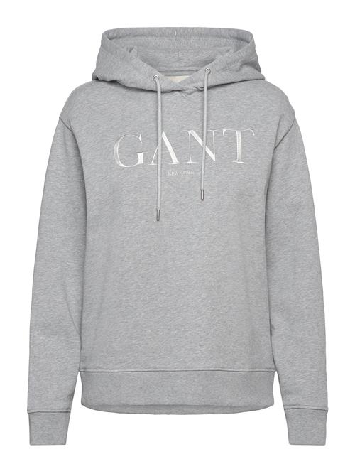 Tonal Graphic Hoodie GANT Grey