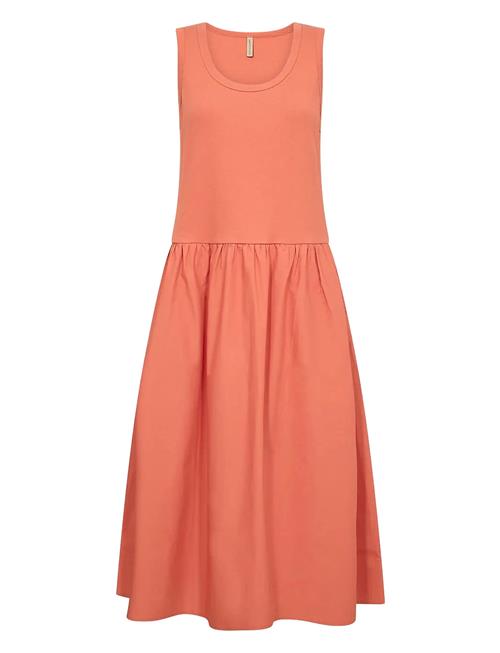 Sc-Rachelle Soyaconcept Coral