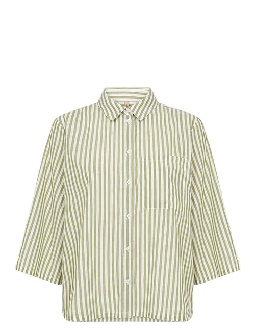 Sc-Rosette Soyaconcept Green