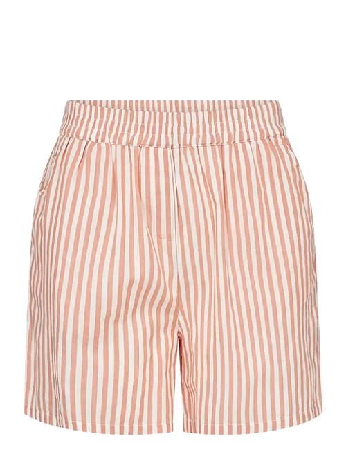 Sc-Rosette Soyaconcept Orange