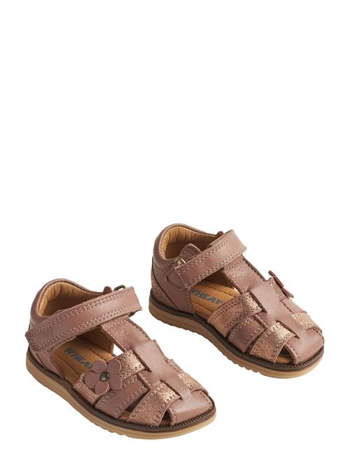 Sandal Sky Flower Wheat Pink