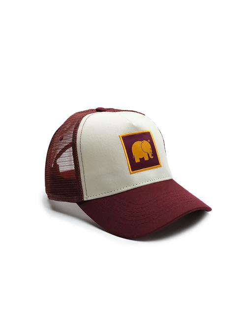 Trendsplant Hætte ' CLASSIC TRUCKER '  rød