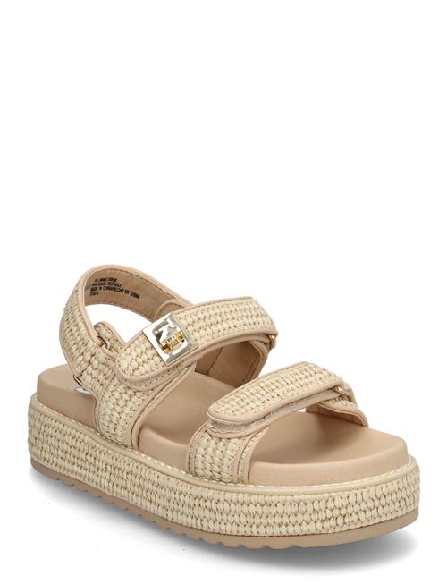 Bigmona Sandal Steve Madden Beige