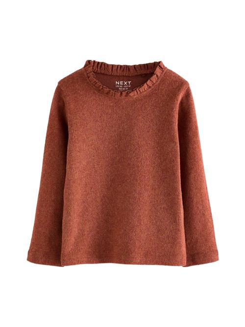 Next Bluser & t-shirts  brun