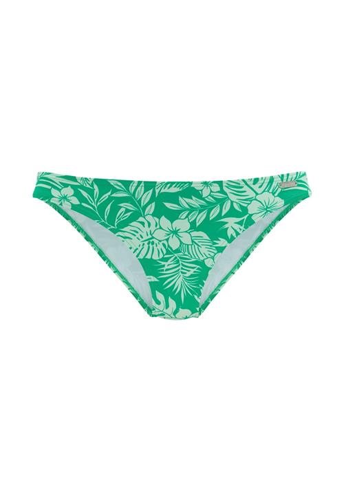VENICE BEACH Bikinitrusse  grøn / hvid