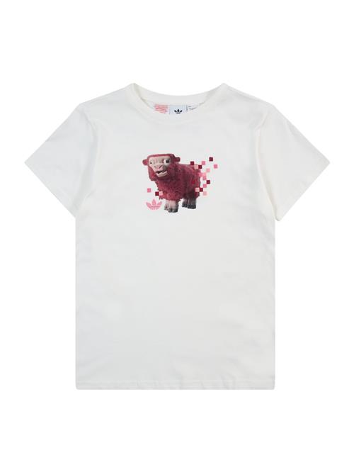 ADIDAS ORIGINALS Shirts 'GFX'  brun / pink / hvid