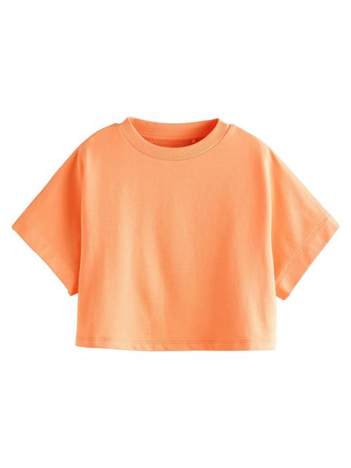 Next Bluser & t-shirts  orange
