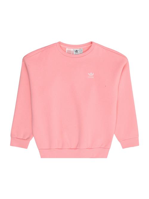 ADIDAS ORIGINALS Sweatshirt  lyserød