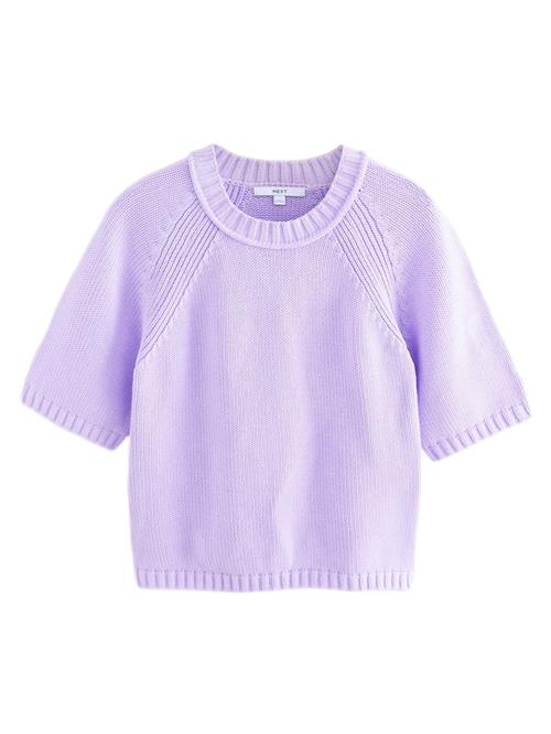 Next Pullover 'Kurzärmelig'  lilla