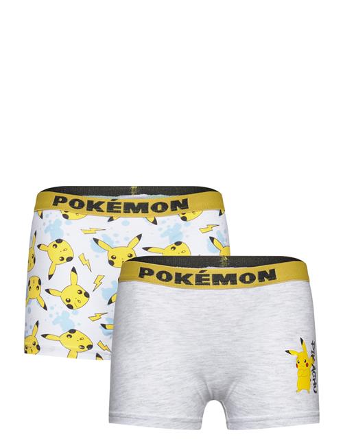 Boxer Pókemon Patterned