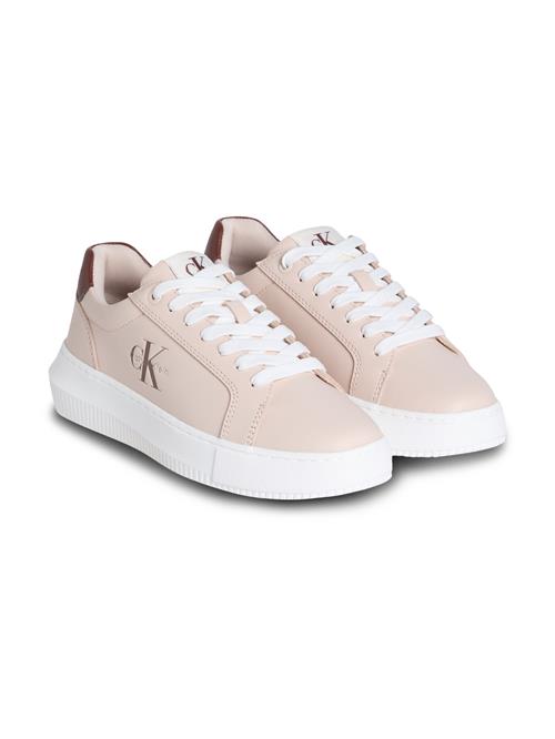 Calvin Klein Jeans Sneaker low  cappuccino / pudder