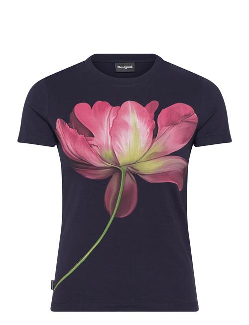 Plata Desigual Navy