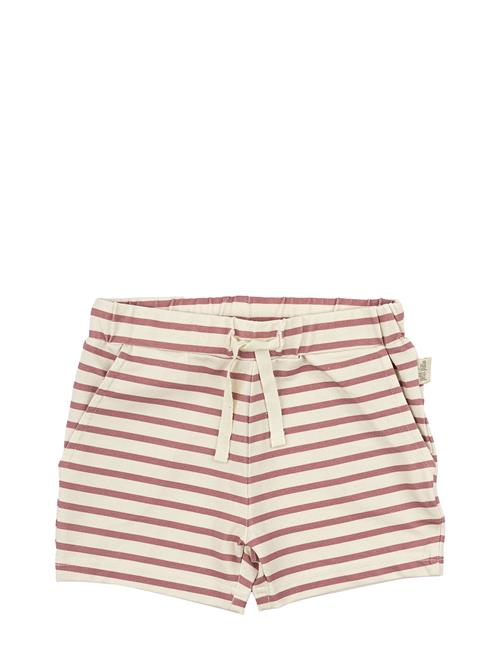 Shorts Sum Printed Petit Piao Patterned