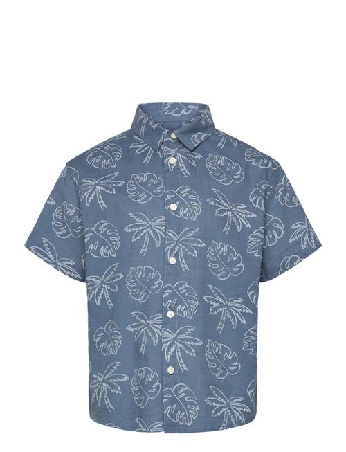 Shirt .-- Fiji Mango Blue