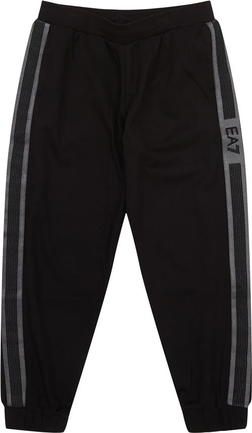 EA7 AF12660 Pants