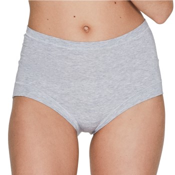 JBS of Denmark Trusser Bamboo Maxi Brief Lysegrå Small Dame