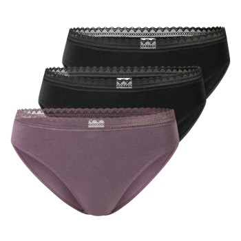 Schiesser Trusser 3P Modern Lace Rio Briefs Violet/Sort bomuld 38 Dame