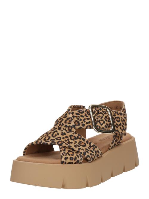 GABOR Sandaler  beige / cappuccino / sort