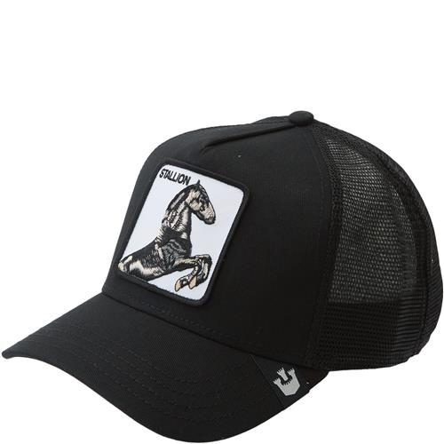 GOORIN BROS The Stallion Cap