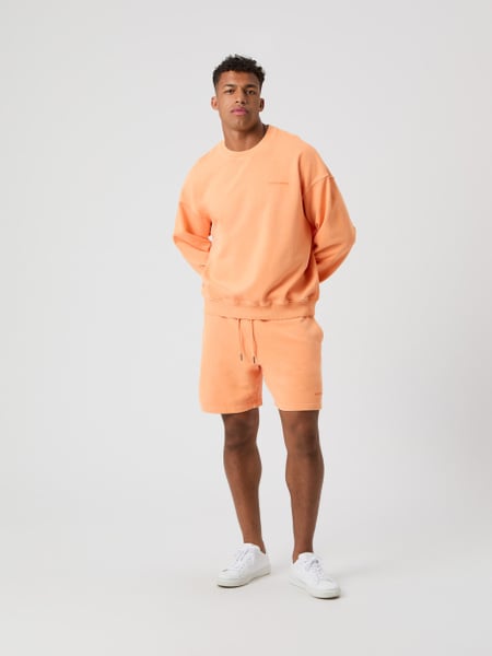 Björn Borg Borg Oversized Washed Sweatshorts Orange, L