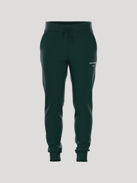 Björn Borg Borg Essential Pants Grøn, XXL