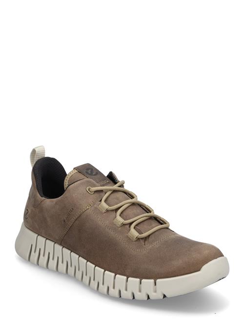Gruuv M ECCO Brown