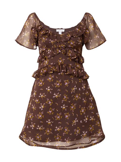 TOPSHOP Kjole  mørkebrun / oliven / orkidee